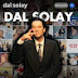 logo Dal solay