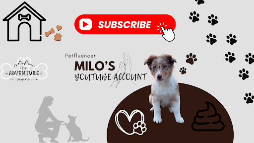 Miloventure banner