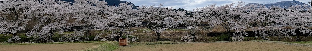 但馬の田舎暮らし　どんぐ屋