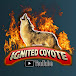 Ignited Coyote