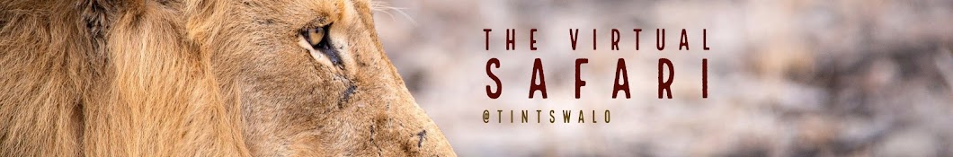 The Virtual Safari @Tintswalo Banner