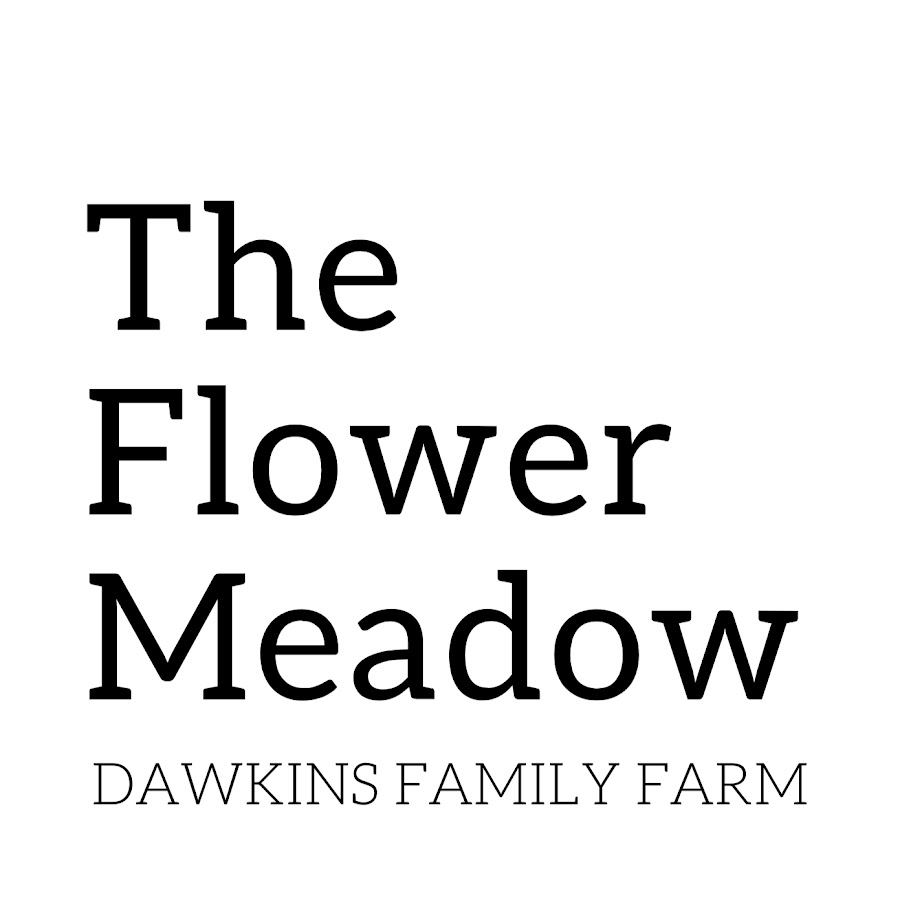The Flower Meadow at Dawkins Family Farm