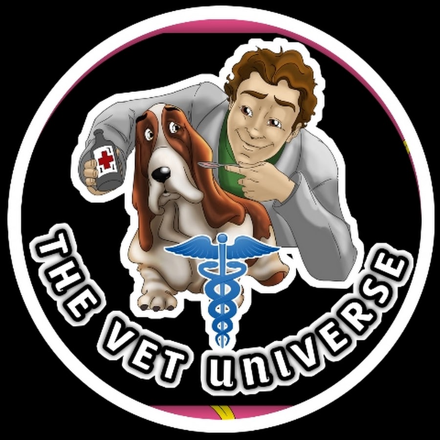 THE VET UNIVERSE