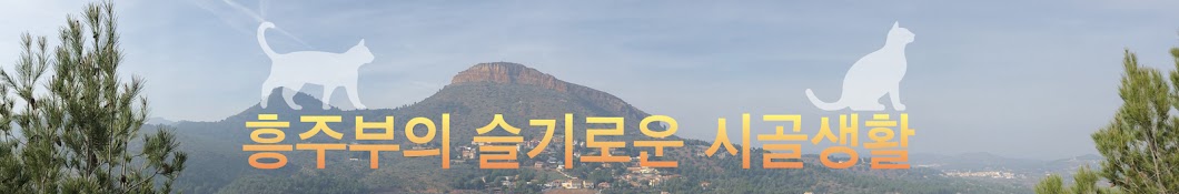 흥주부