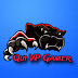 Qui VP Gamer