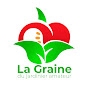 La graine du jardinier amateur