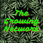 The Growing Network