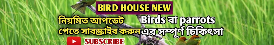 Bird House New