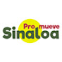 Promueve Sinaloa