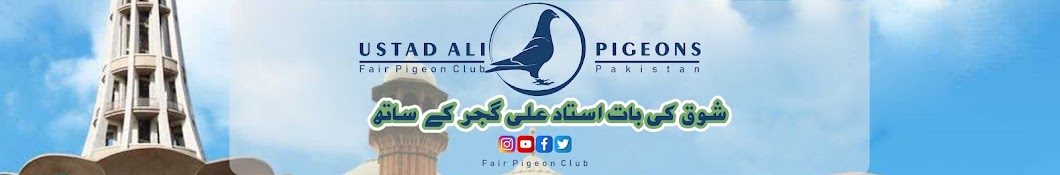 fair pegion club