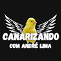 Canarizando com André Lima 