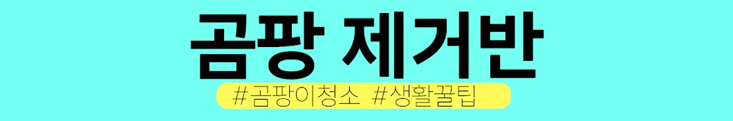 곰팡제거반