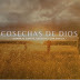 Cosechas de Dios