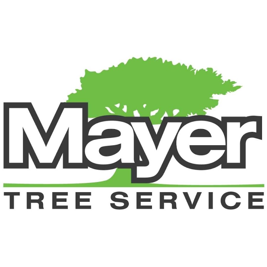 Mayer logo. Mayer Tree техника. Mayer. Mayer надпись. Tree service scams.