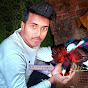 Sultan pigeon Jainul Khan 