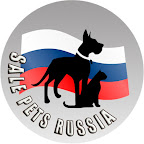 SALE PETS RUSSIA