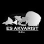 Es Akvarist