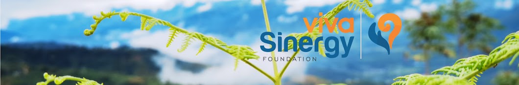 Viva Sinergy Foundation