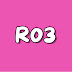 R03