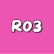 R03