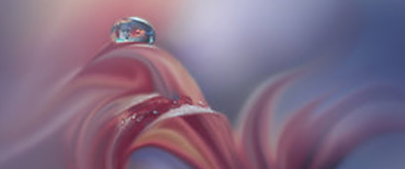 Artist Thumbnail