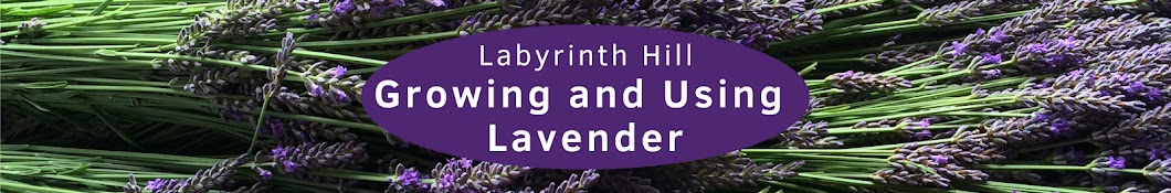 Susan Harrington - Growing Lavender Banner