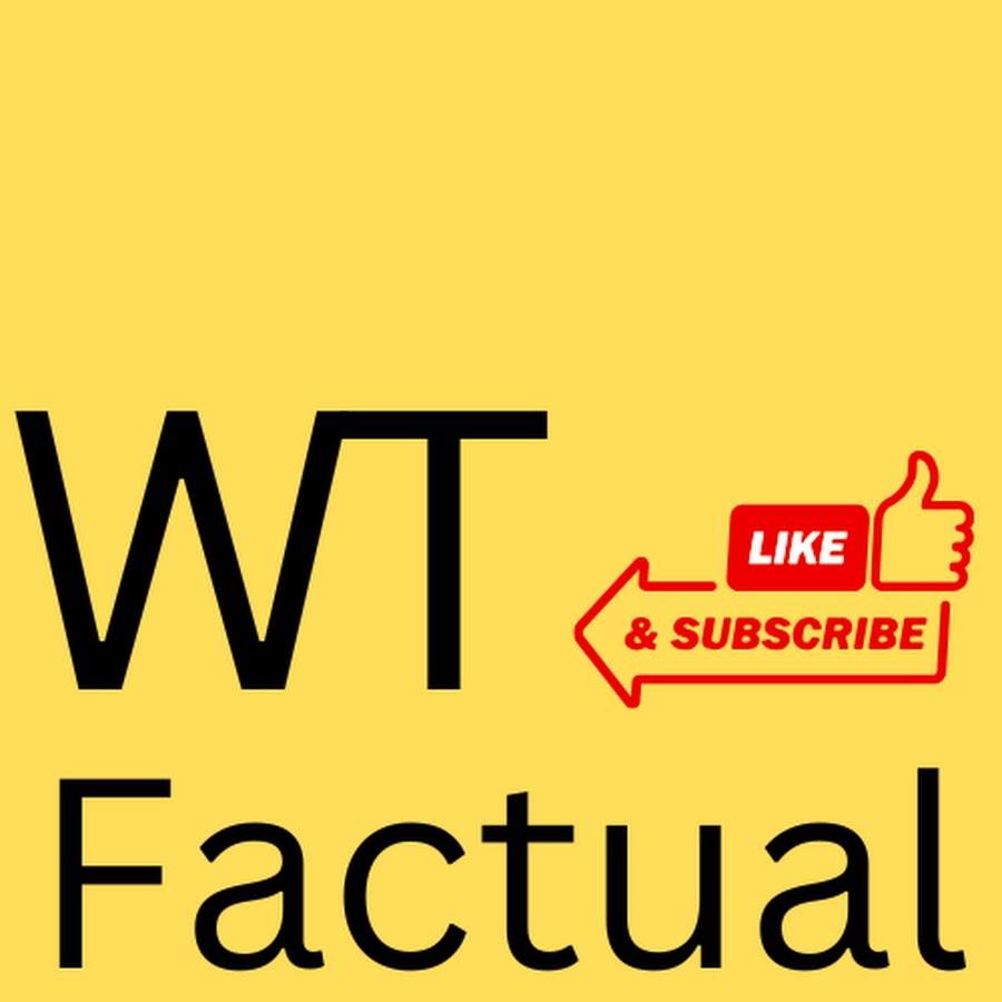 WTFactual - YouTube WTFactual