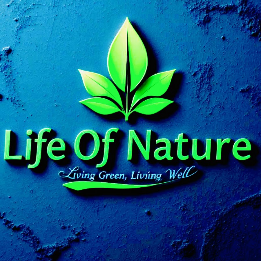 Nature Of Life - YouTube Nature Of Life