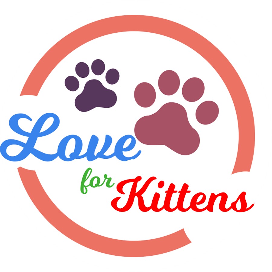 Love For Kittens YT