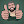 albert_cancook avatar