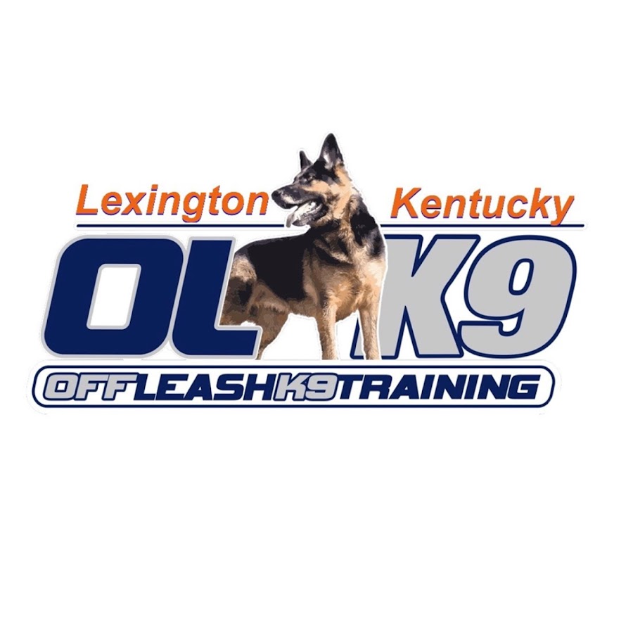 Off Leash K9 Training - Lexington