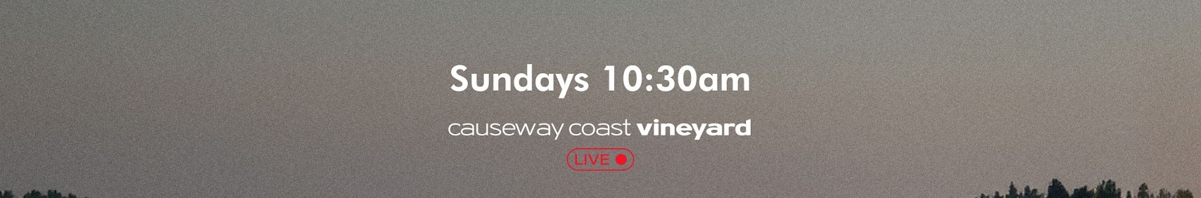 Causeway Coast Vineyard banner