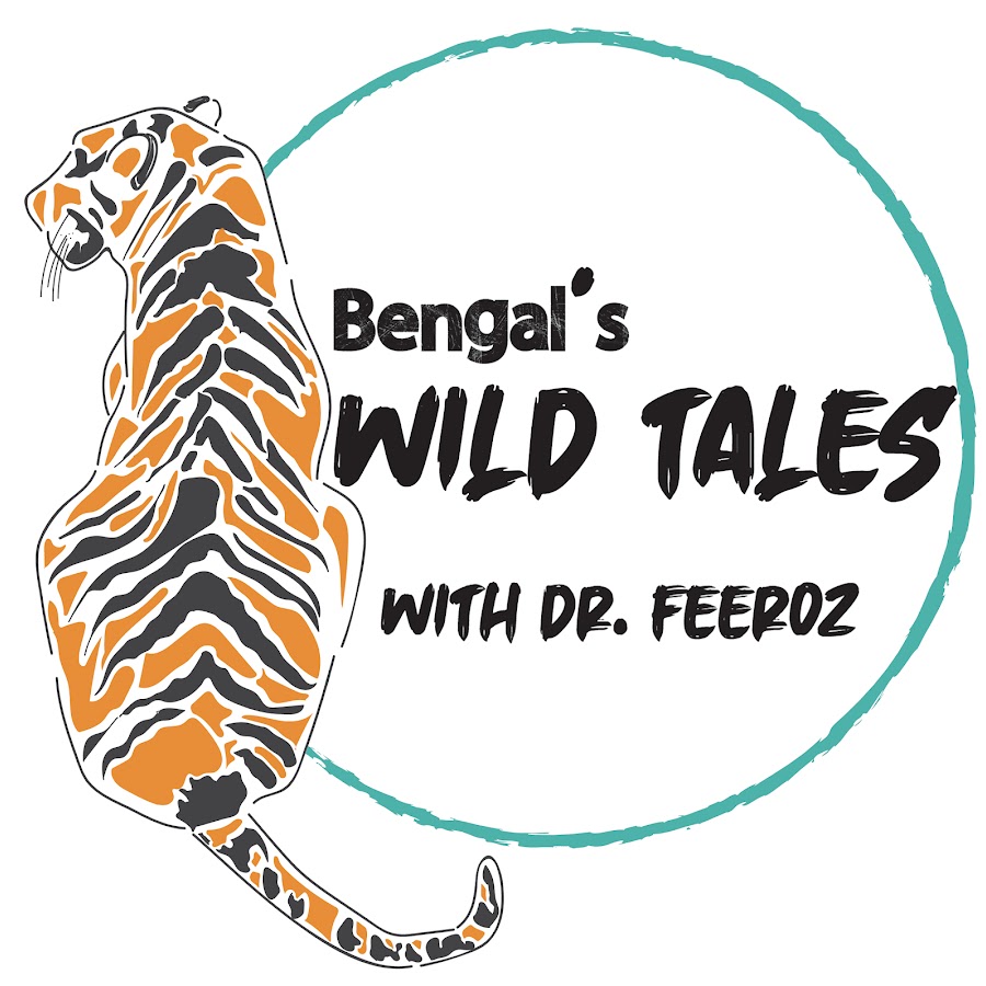 Bengals WILD TALES