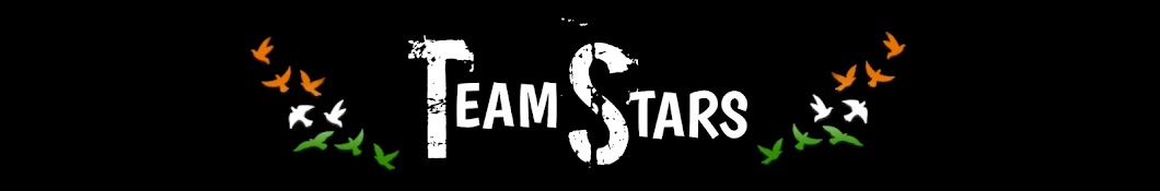 TeAm STARS Banner