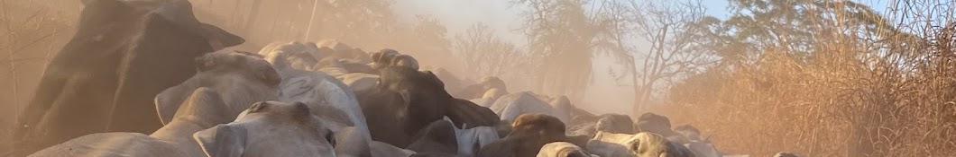 Na_rota da pecuária 🐂