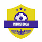 Intuisi_Bola