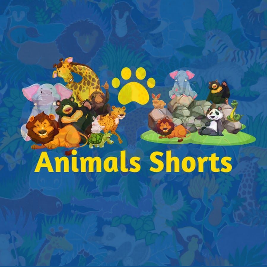 top 10 animals shorts