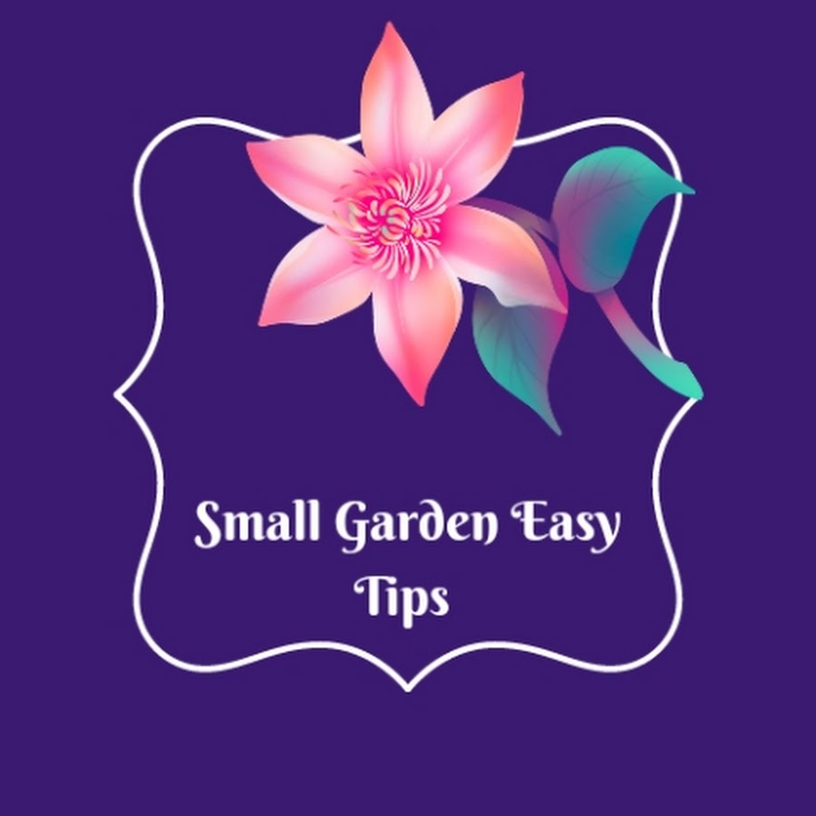Small Garden Easy Tips