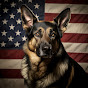 German Shepherd USA