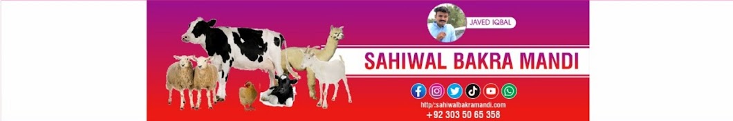 Sahiwal Bakra Mandi