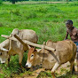 ಮಲೆನಾಡ ಕನ್ನಡಿಗ - Malenada Kannadiga MD Ziyaulla 