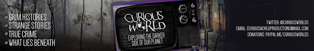 Curious World Banner