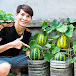 Terrace Garden