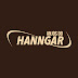 logo Anjos Do Hanngar Oficial