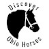 Discover Ohio Horses