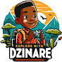 Explore with Dzinare