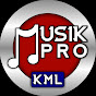 MUSIK PRO