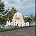 Noireen♡blog 