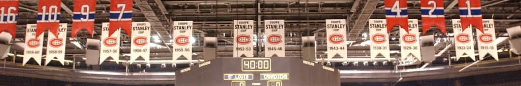 Hockey Junkie Banner