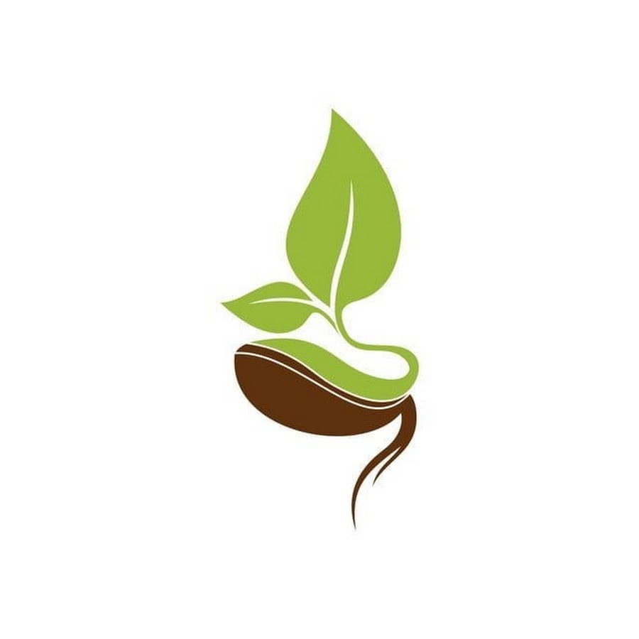 Семена лого
